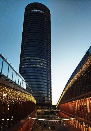 Taberna El Papelon Torre Sevilla